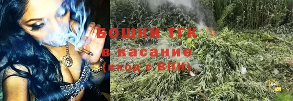 дмт Пестово