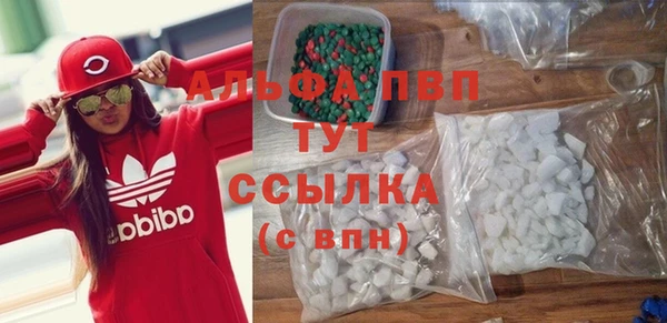 дмт Пестово