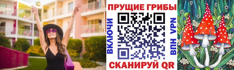 Купить где  Узловая  Псилоцибиновые грибы GOLDEN TEACHER 